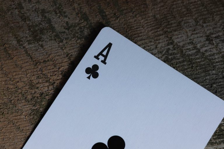 Exploring the World of 888jili Online Casino